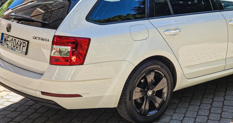 Skoda Octavia cena 54900 przebieg: 139000, rok produkcji 2020 z Lublin małe 277